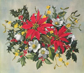 Christmas Flowers